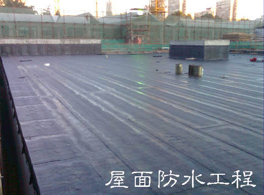 從根本上解決和防治建筑屋面滲漏問題，專家給出的方案是從防水系統(tǒng)設(shè)計、施工過程、材料選材及質(zhì)量監(jiān)管和后期的管理維護等方面著手，嚴格規(guī)范